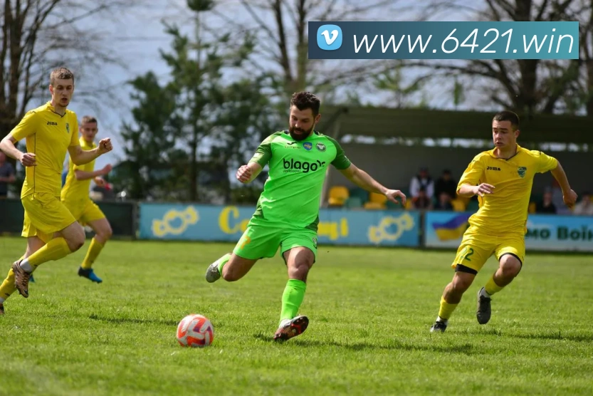 互动解说服务